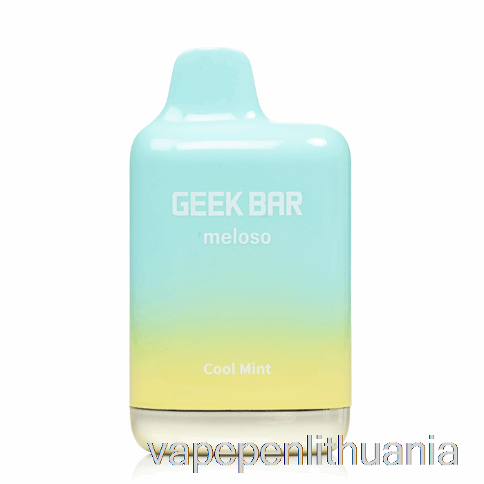 Geek Bar Meloso Max 9000 Vienkartinis šaltas Mėtų Vape Skystis